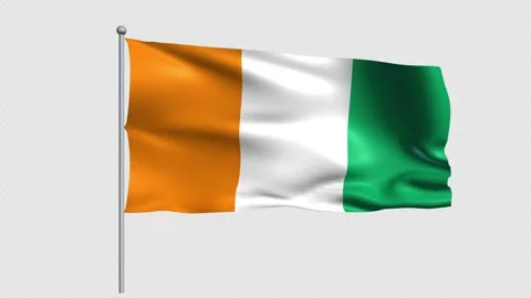 Ivory Coast Flag - Pack 1 Stock Footage 339733222
