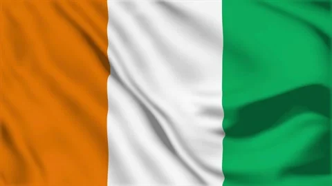 Ivory Coast flag waving in the wind Stock Footage 334572333
