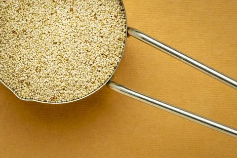 Ivory teff grain in a metal measuring scoop Foto stock