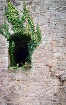 The Ivy and the Window Stock Photos
