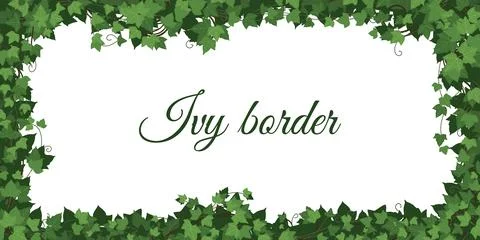 Ivy border. Plant climbing. Leaf tree, grass wall. Floral interior garden. Green Stock Illustration