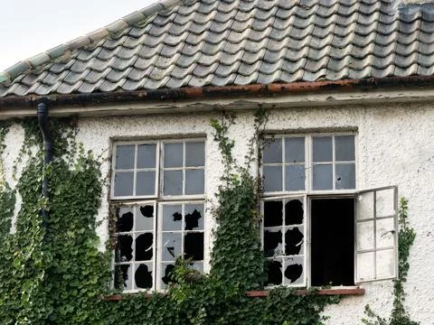 Ivy covered building with broken windows Foto stock