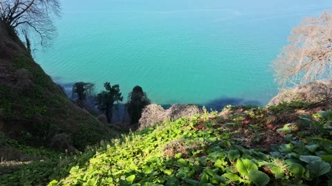 Ivy Covered Cliff Overlooking Turquoise Sea Vídeos de archivo 345420121