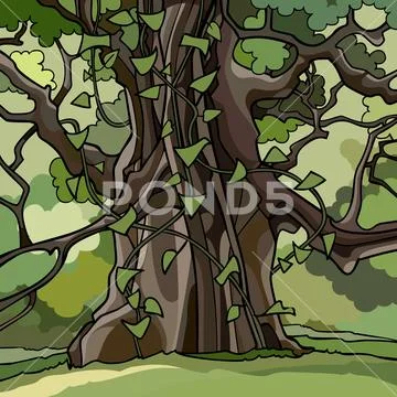 Ivy covered large cartoon tree in a green forest Stock Illustrationen