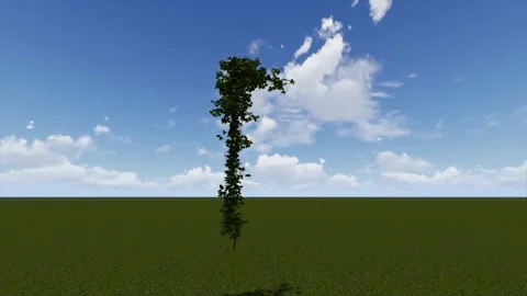 Ivy Covered Pole On Grass Blue Sky 3D Render Stock Footage 346442698
