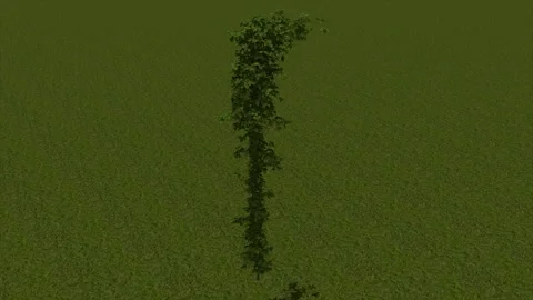 Ivy Covered Pole Green Background 3D Render 動画素材 346442658