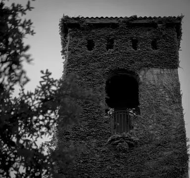 Ivy-covered, rustic looking stone watchtower Foto stock