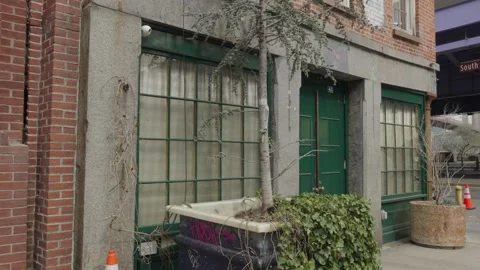 An ivy-covered tree grows from a large pot in front of a green door and gree Stock Footage 241498759