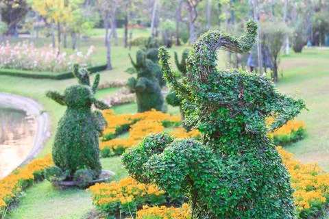 Ivy of the elephants shape Stock Photos