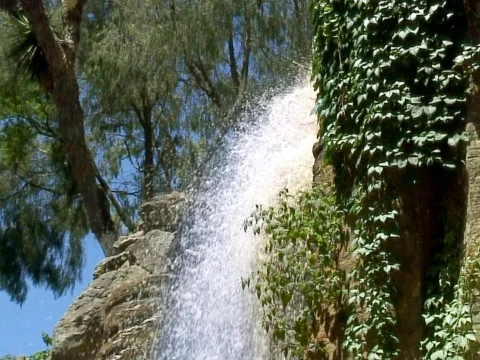 Ivy Falls Stock Footage 490125