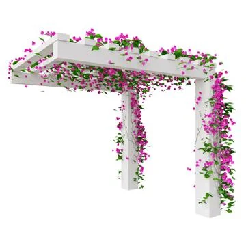Ivy with flowers plant 스톡 일러스트