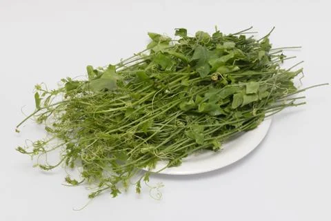 Ivy Gourd Stock Photos