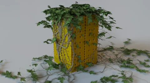 Ivy Growing Over Gold Stock Footage 33803410