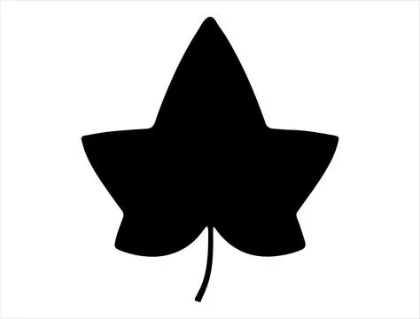 Ivy leaf silhouette vector art Stock Illustration