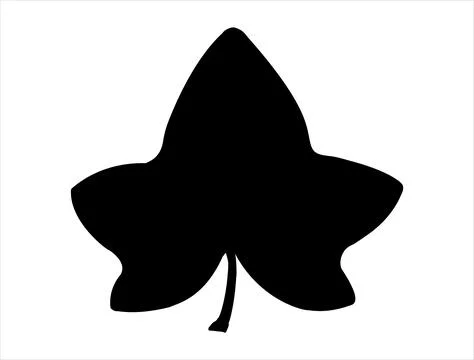 Ivy leaf silhouette vector art Stock Illustration