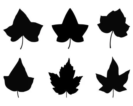 IVY LEAFS SILHOUETTE Stock Illustration