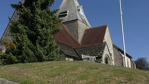 Ivy Mining Bee. Ivy Mining Bees at the Church   (Colletes hederae)   S136002 Stock Footage 147874909