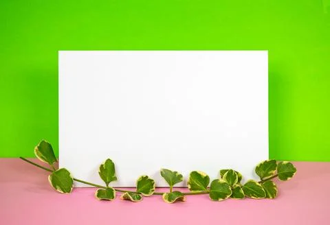 Ivy on note card Stock Photos