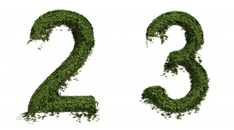Ivy Numbers Stock Footage 827974
