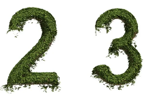 Ivy Numbers Stock Footage 827999