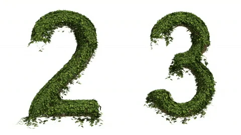 Ivy Numbers Stock Footage 828052