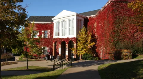 Ivy on Red Brick Fall Colors Stock Footage 68583380