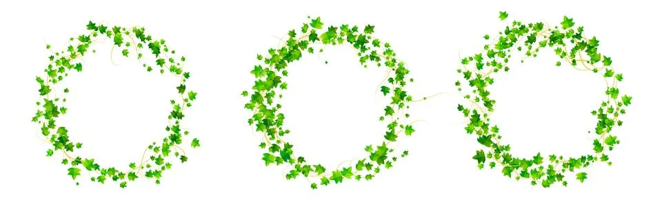 Ivy round frames, climbing vine circle borders 스톡 일러스트