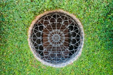 Ivy round window 스톡 사진