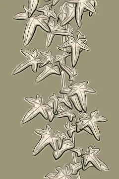Ivy sketch Stock Illustration