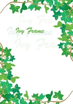 Ivy spring corner frames, vector illustration Stock Illustration