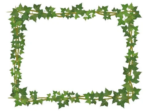 Ivy square frame Illustrazione stock