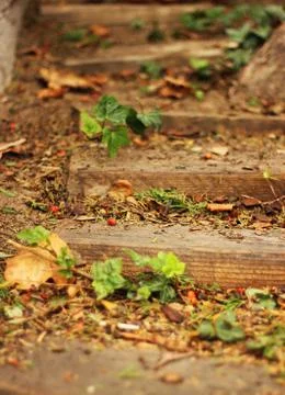 Ivy Stairs Two Stock Photos