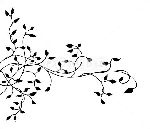 Ivy vine border vector design element with floral leaves in elegant decoration Stock Illustration