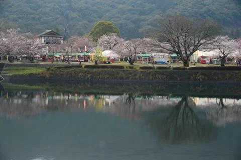 Iwakuni sakura Stock Photos