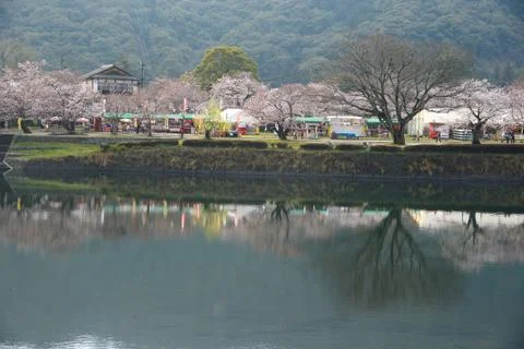 Iwakuni sakura Stock Photos