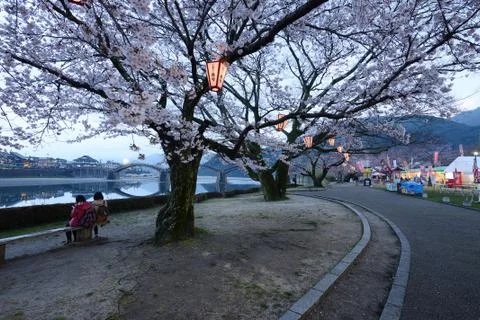 Iwakuni sakura Stock Photos
