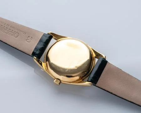 IWC watch case back view Stock Photos