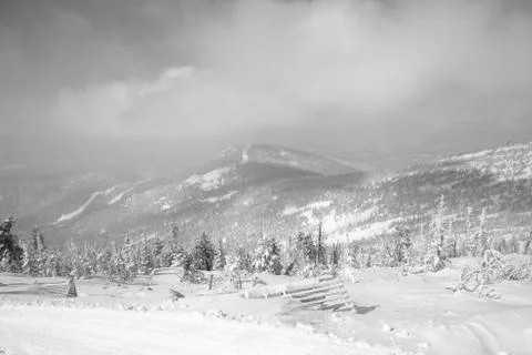 IWinter forest. Ski resort. Stock Photos