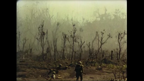 IWO JIMA - 1945: Armor amid the blasted, scrubby landscape Stock Footage 339215527