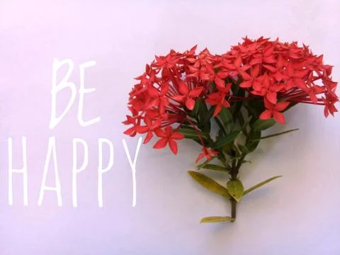 Ixora flower with message Stock Photos