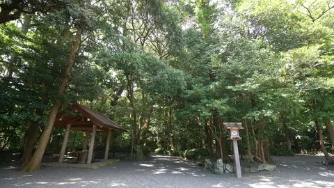 Izawanomiya shrine in Mie. Stock Footage 115488743
