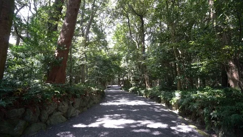 Izawanomiya shrine in Mie. Stock Footage 115488795