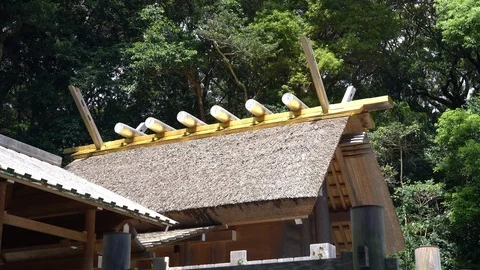 Izawanomiya shrine in Mie. Vídeo Stock 115488968