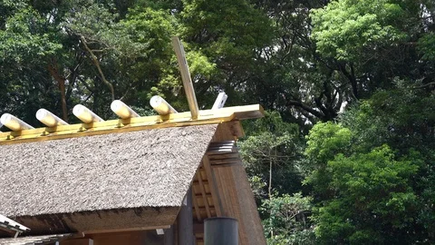 Izawanomiya shrine in Mie. Stock Footage 115488974