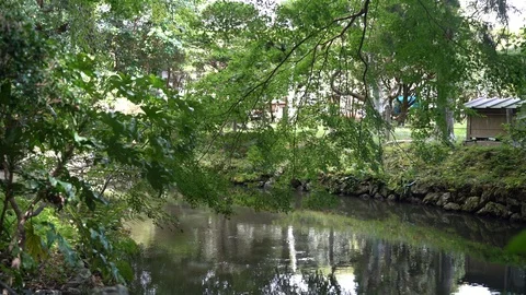 Izawanomiya shrine in Mie. Stock Footage 115489032