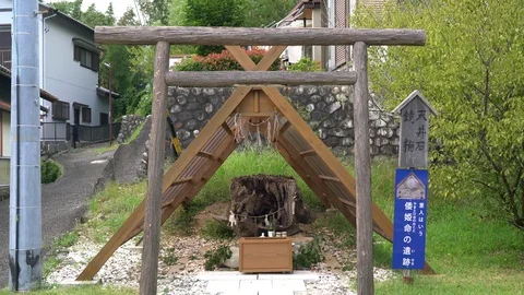 Izawanomiya shrine in Mie. Stock Footage 115489063