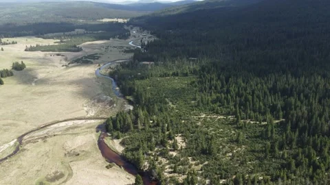 Izera mountains from the sky 動画素材 194866887