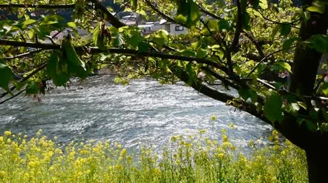 Izu005 Stock Footage 10874021