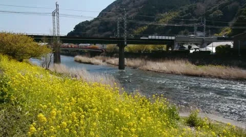 Izu007 Stock Footage 10874024