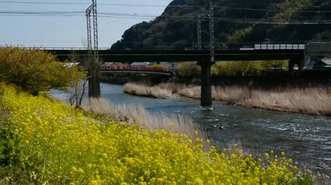 Izu008 Stock Footage 10874027